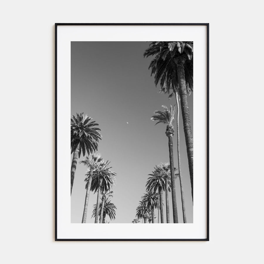 California Photo B&W No 4 Poster
