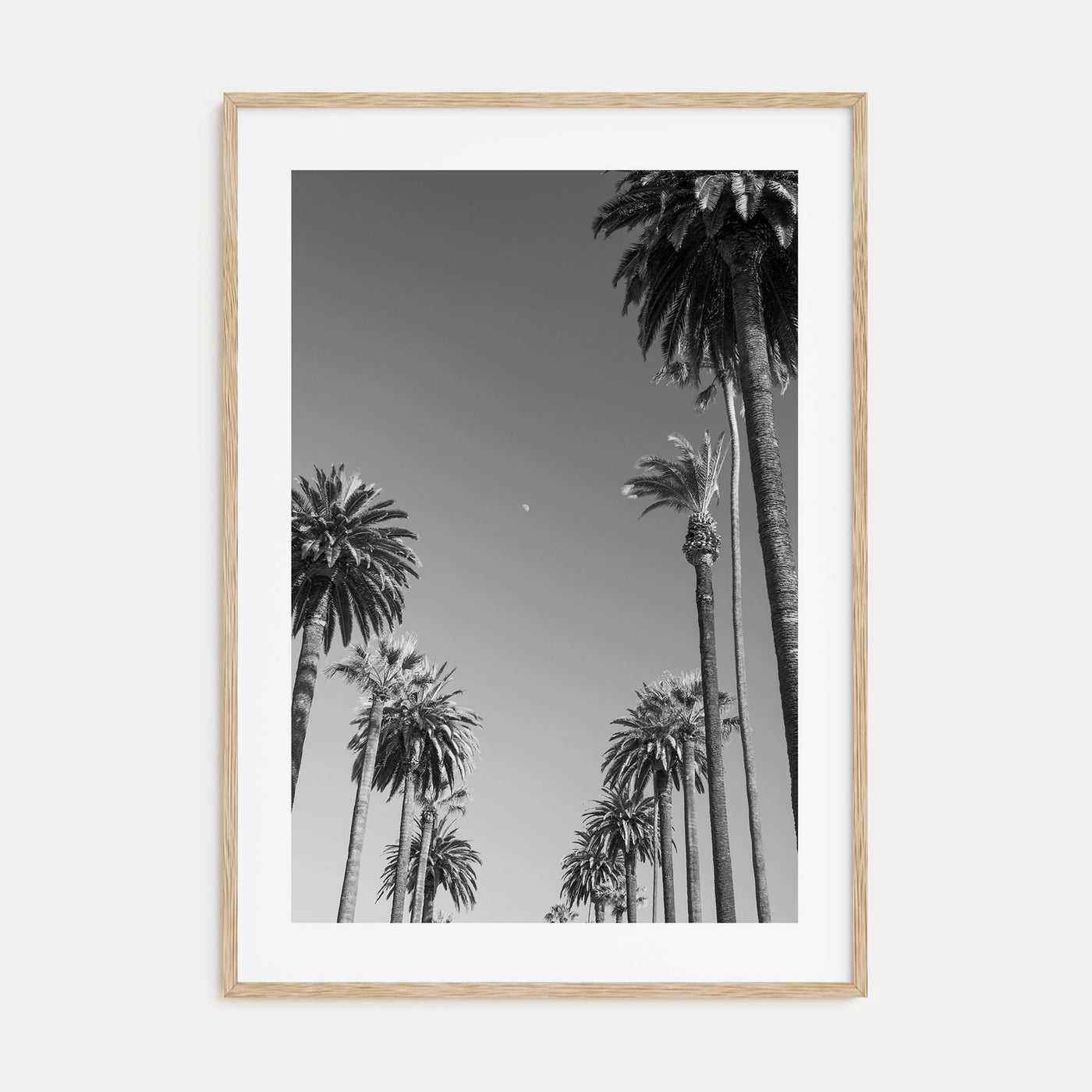 California Photo B&W No 4 Poster