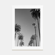 California Photo B&W No 4 Poster