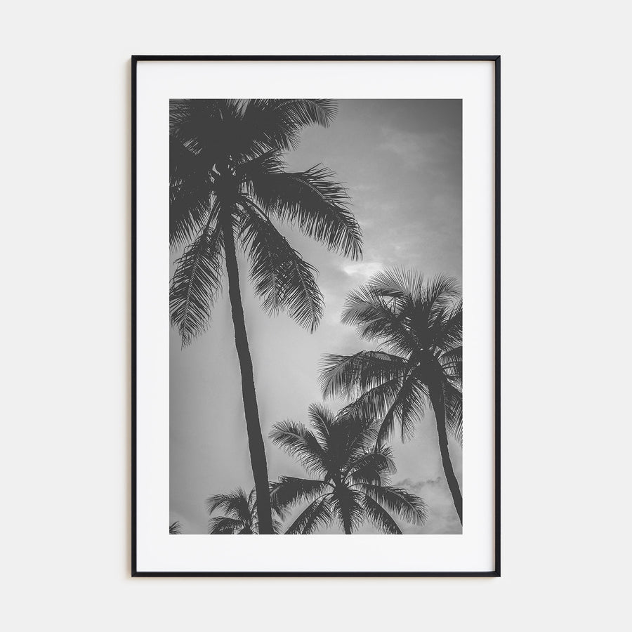 California Photo B&W No 5 Poster