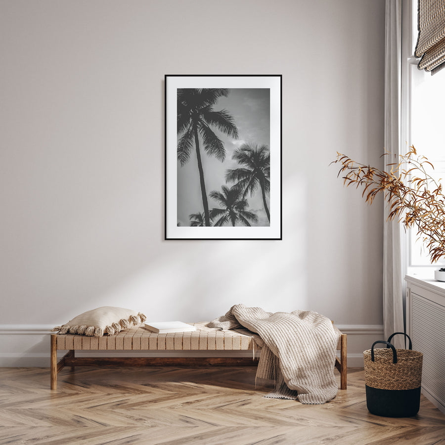 California Photo B&W No 5 Poster