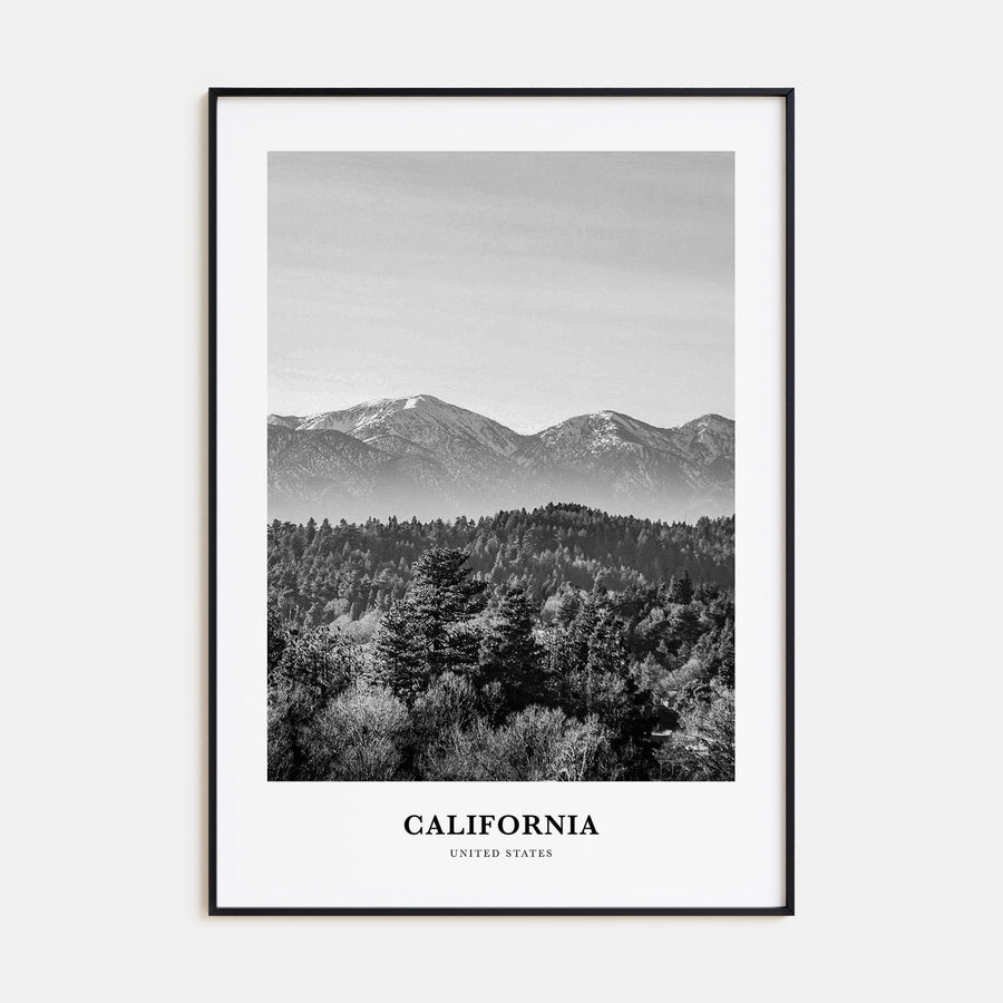 California Portrait B&W No 3 Poster