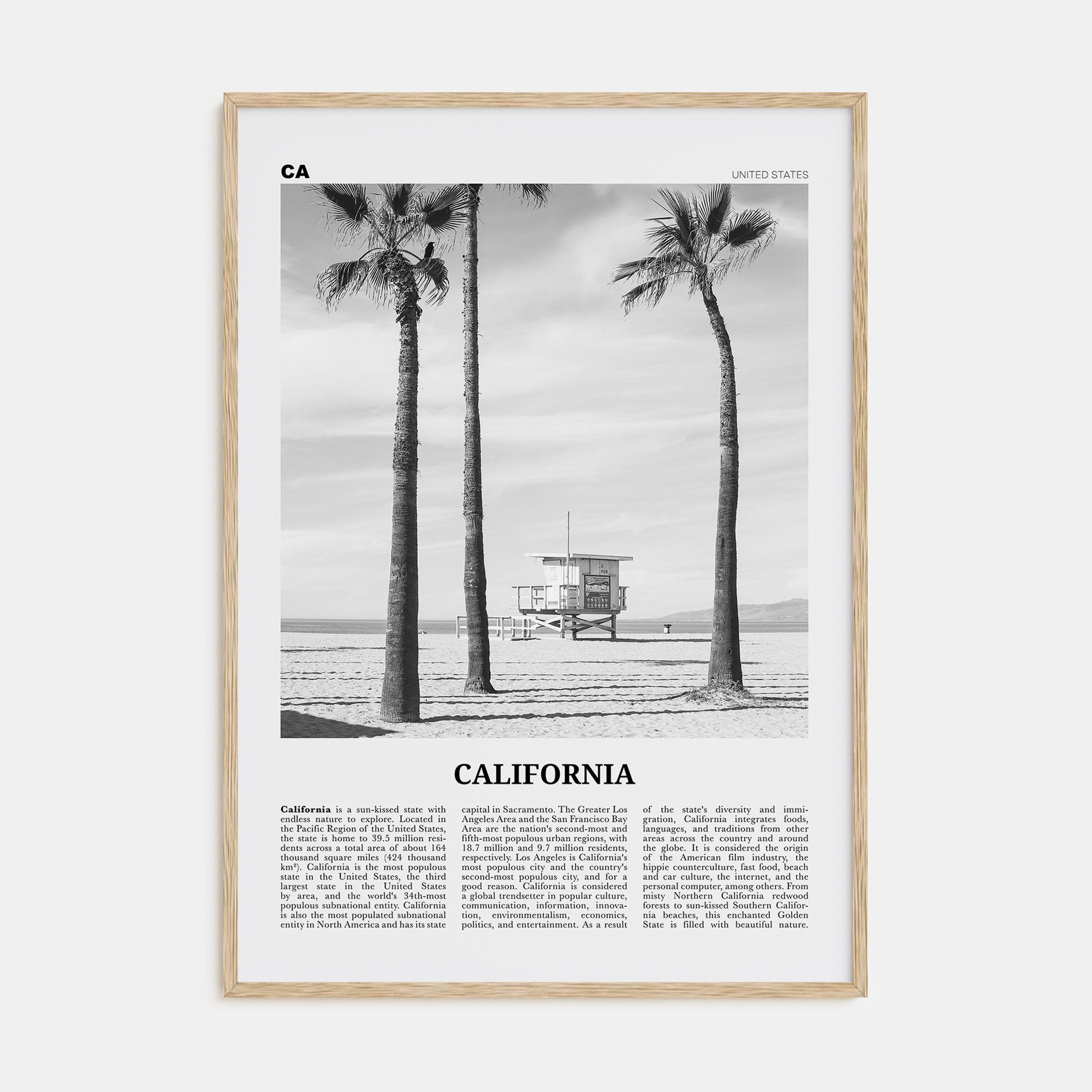 California Travel B&W No 2 Poster