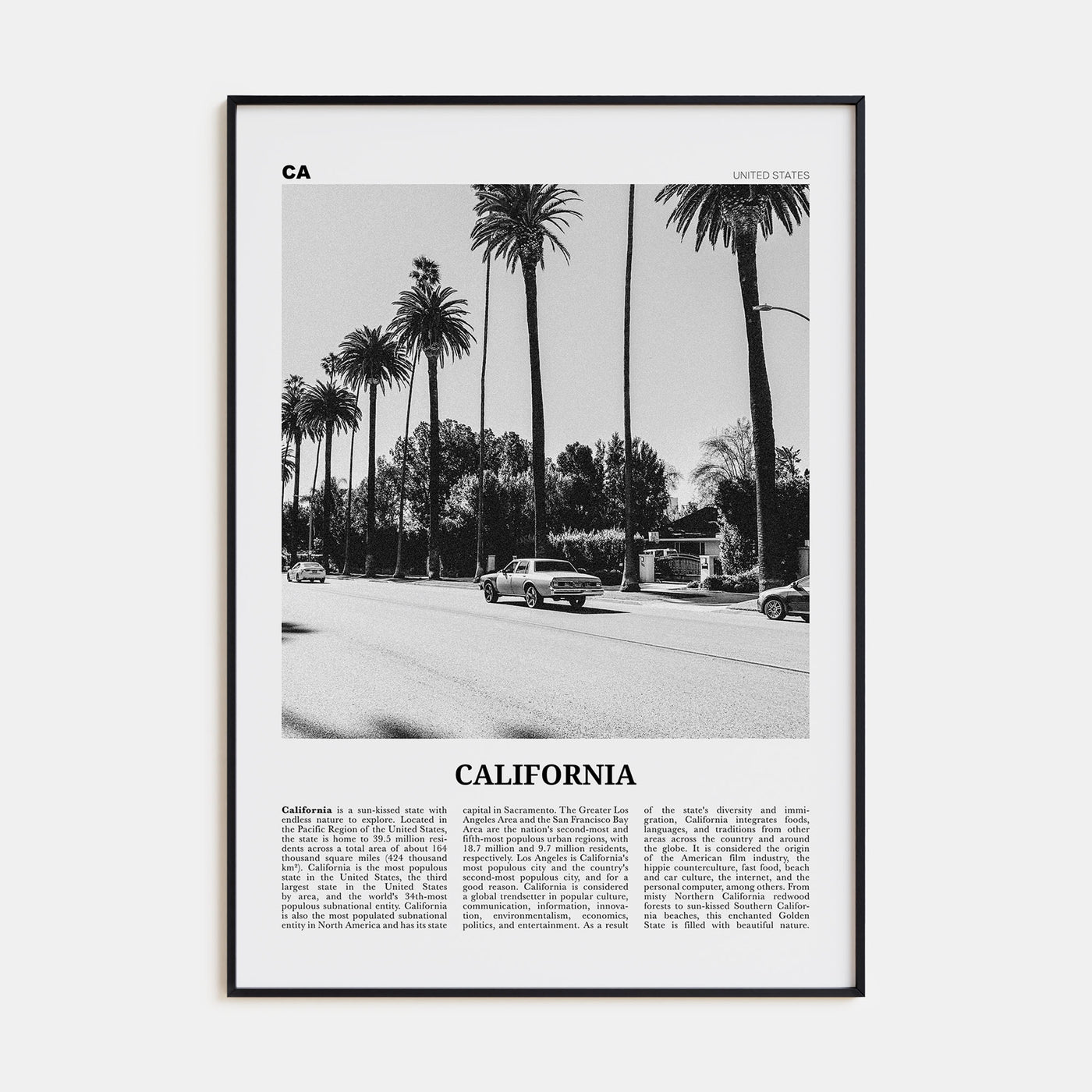 California Travel B&W No 6 Poster