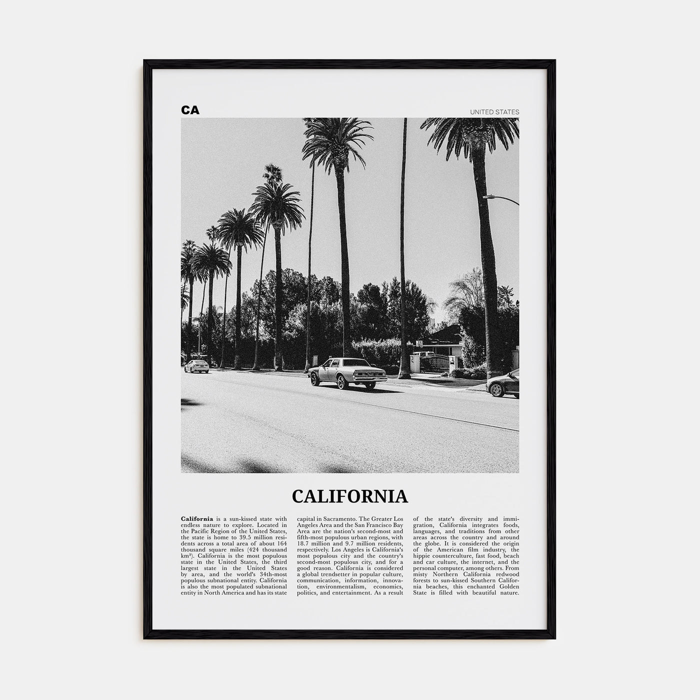 California Travel B&W No 6 Poster