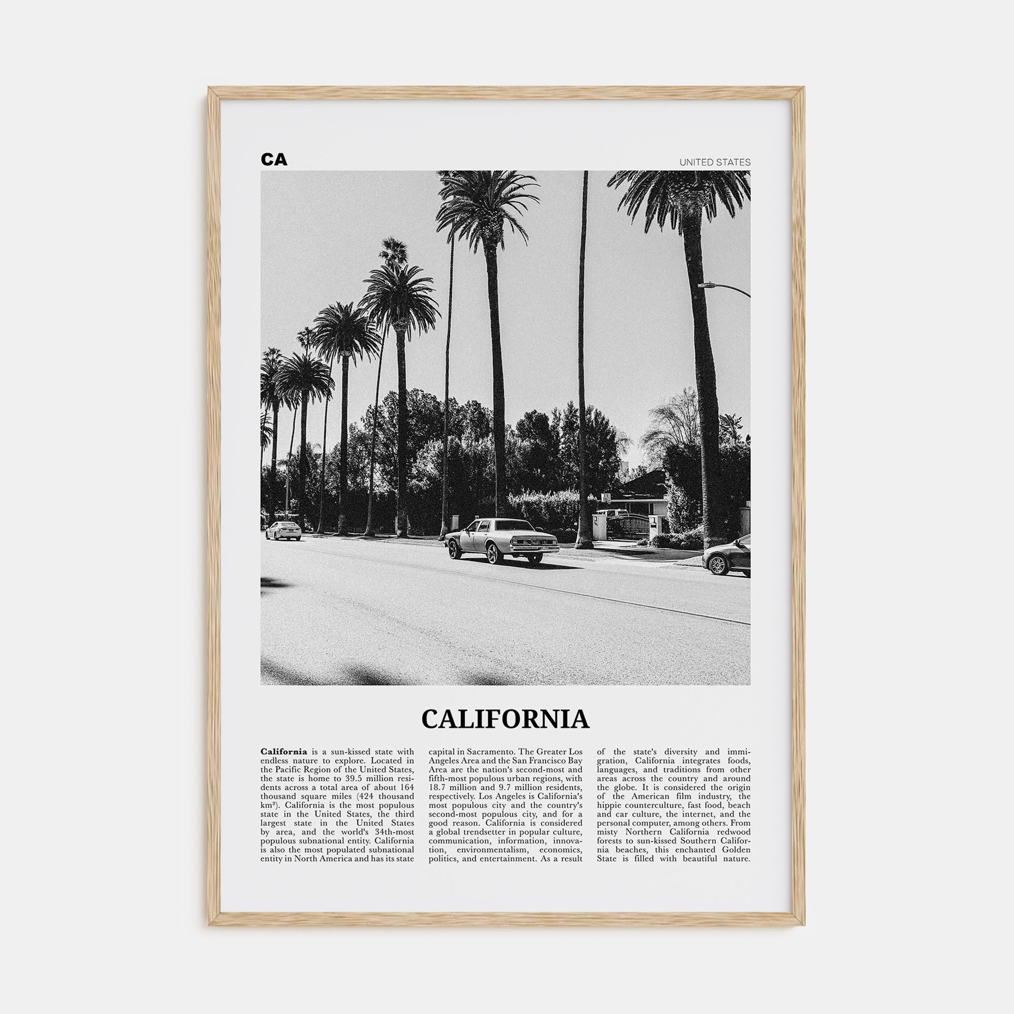 California Travel B&W No 6 Poster