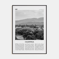 Calistoga Travel B&W Poster