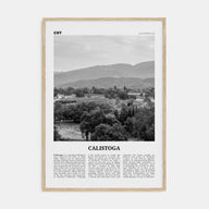 Calistoga Travel B&W Poster