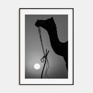 Camel Caravan Photo B&W No 1 Poster