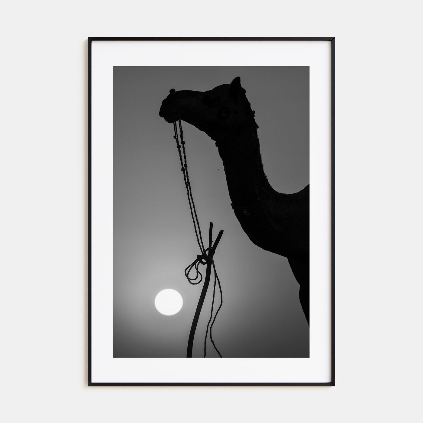 Camel Caravan Photo B&W No 1 Poster