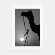 Camel Caravan Photo B&W No 1 Poster