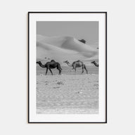 Camel Caravan Photo B&W No 2 Poster