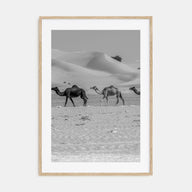 Camel Caravan Photo B&W No 2 Poster