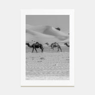 Camel Caravan Photo B&W No 2 Poster