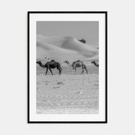 Camel Caravan Photo B&W No 2 Poster