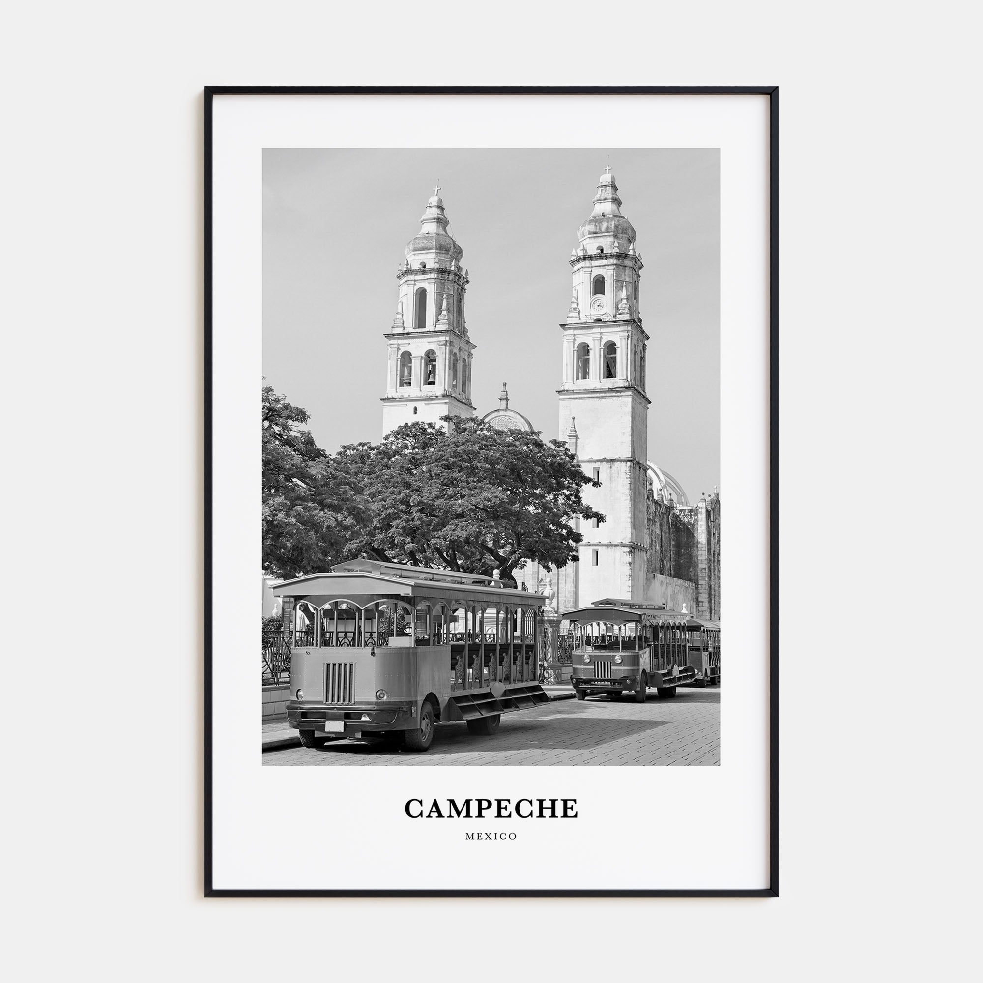 Campeche Portrait B&W Poster