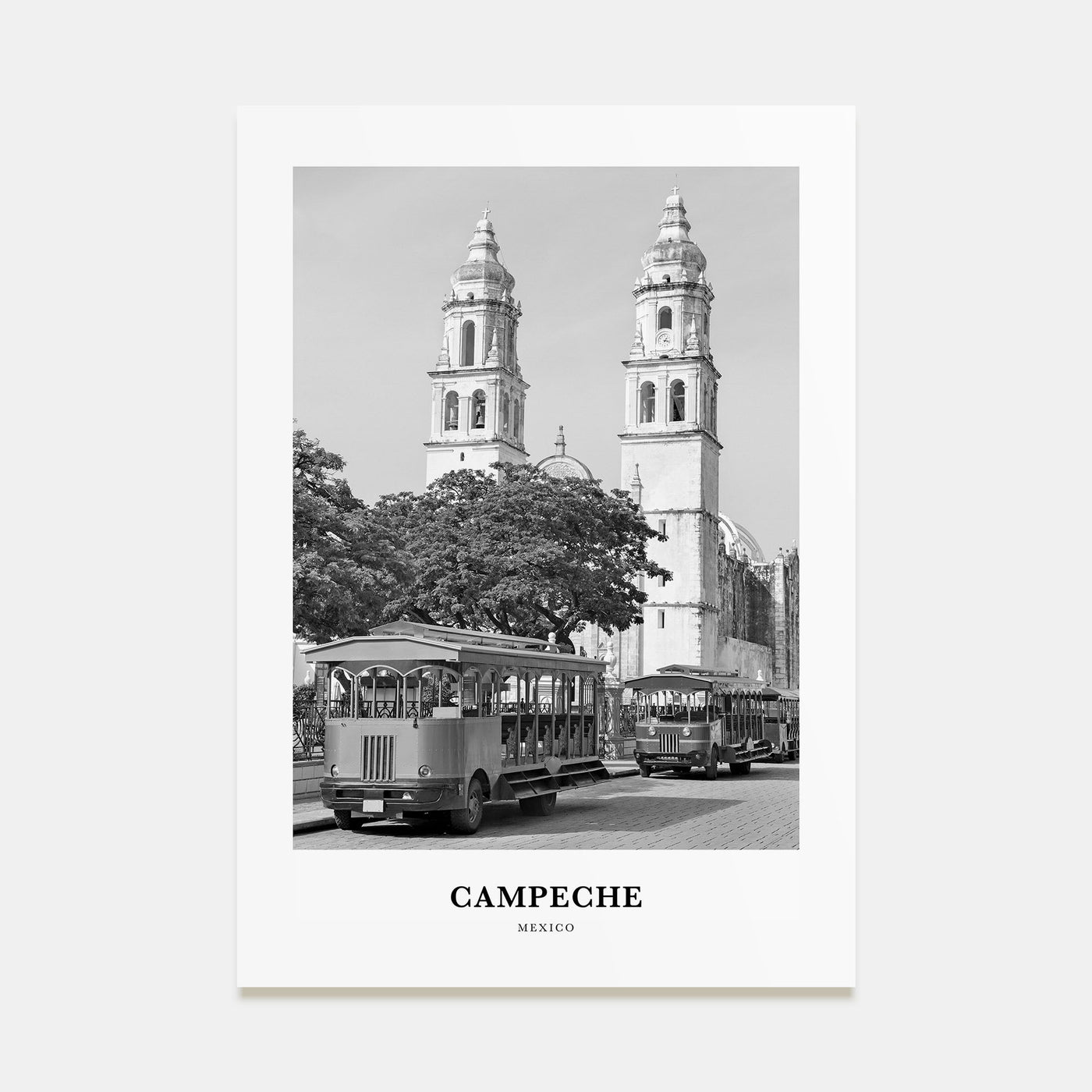 Campeche Portrait B&W Poster