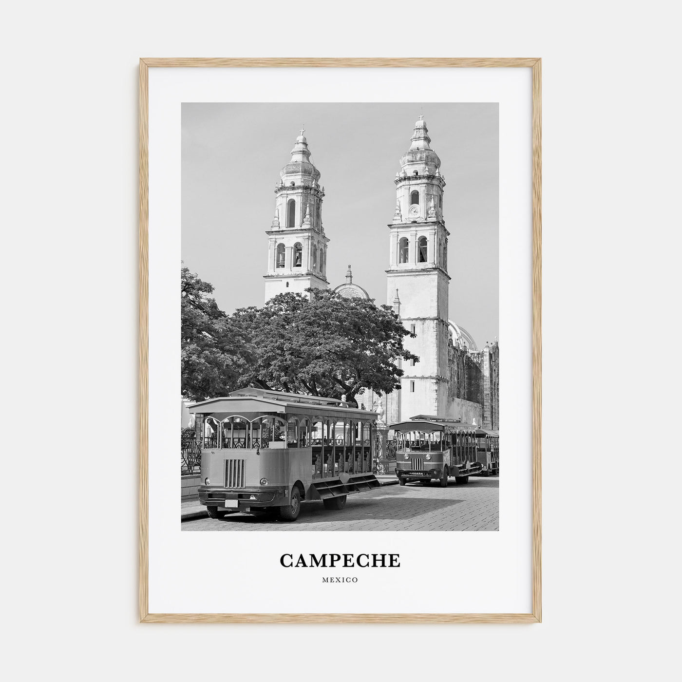 Campeche Portrait B&W Poster
