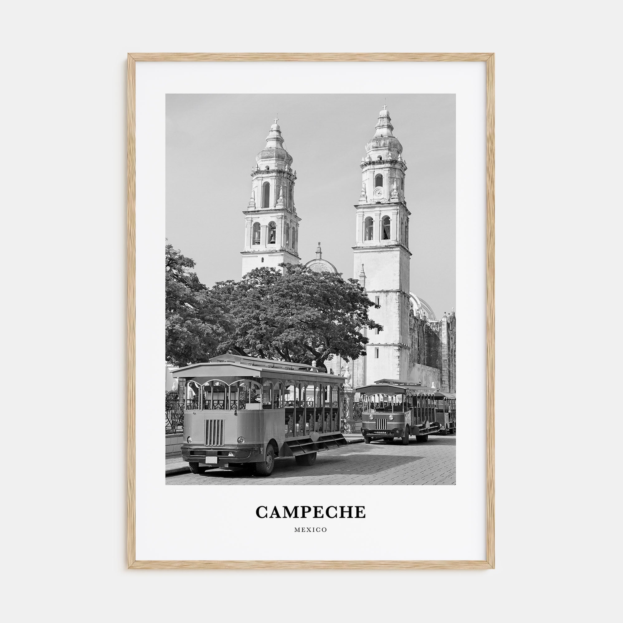 Campeche Portrait B&W Poster