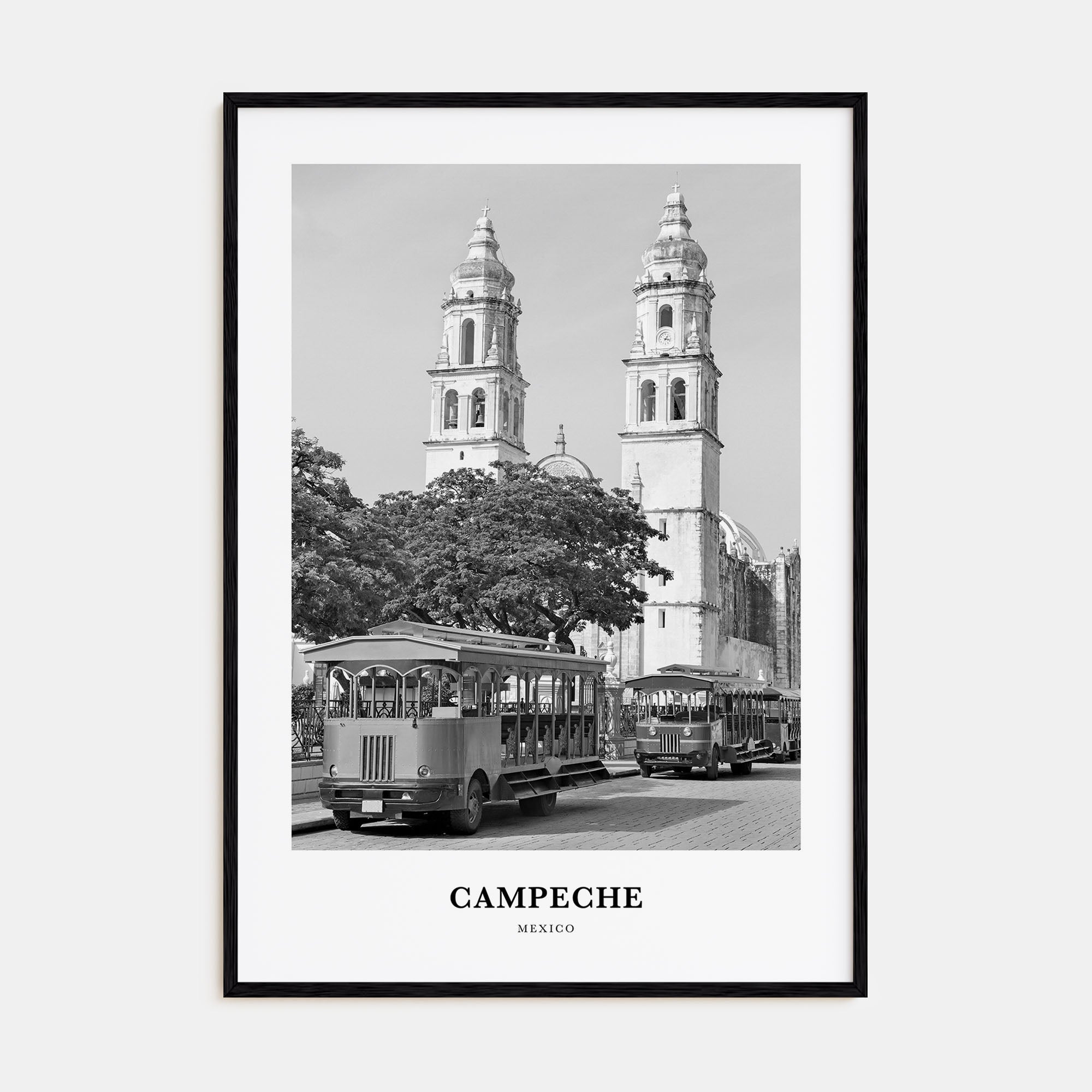 Campeche Portrait B&W Poster
