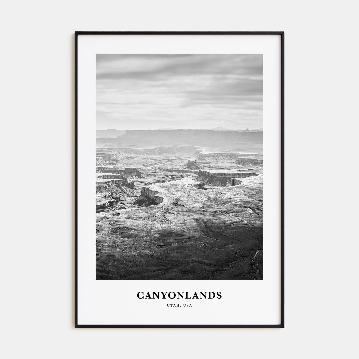 Canyonlands National Park Portrait B&W Poster