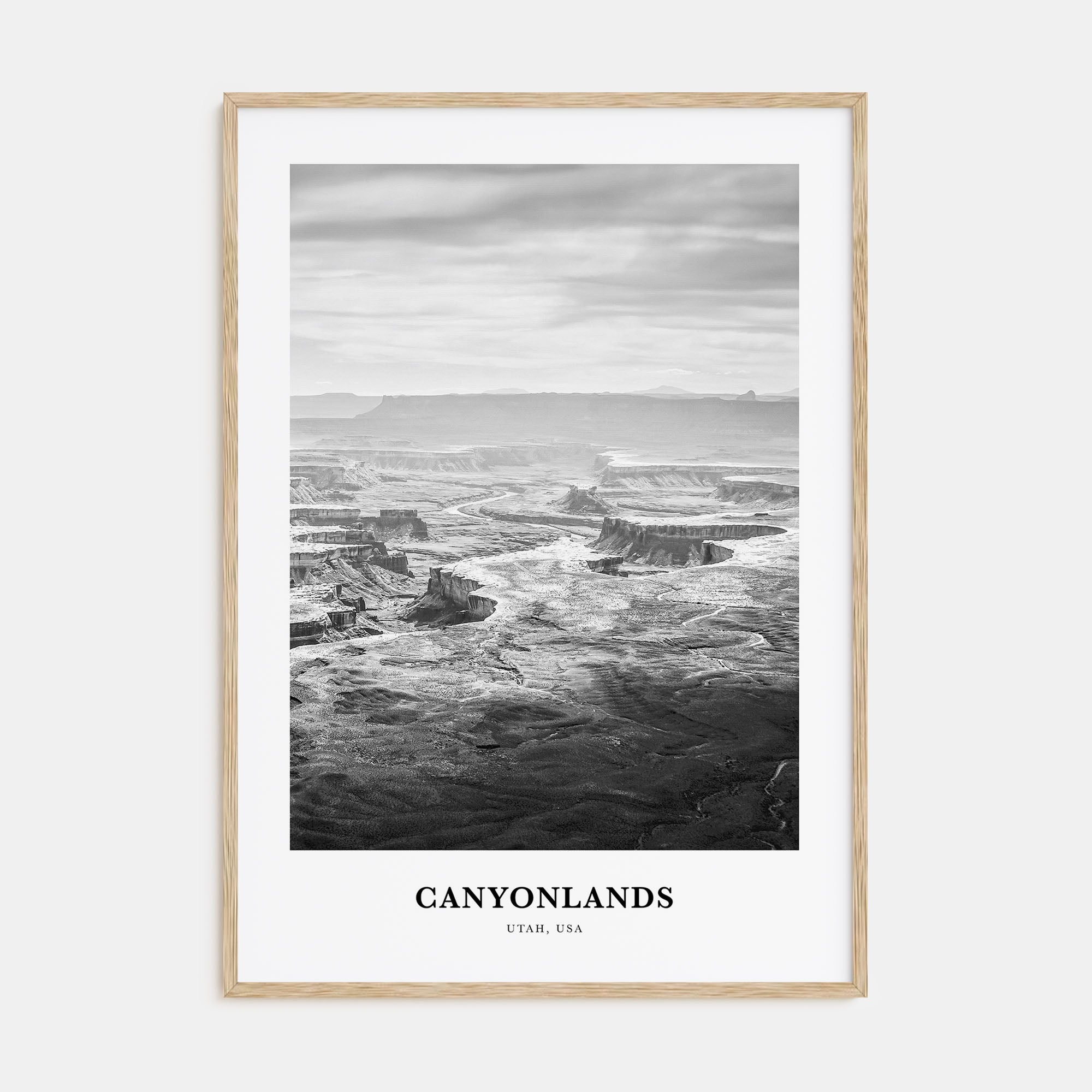 Canyonlands National Park Portrait B&W Poster