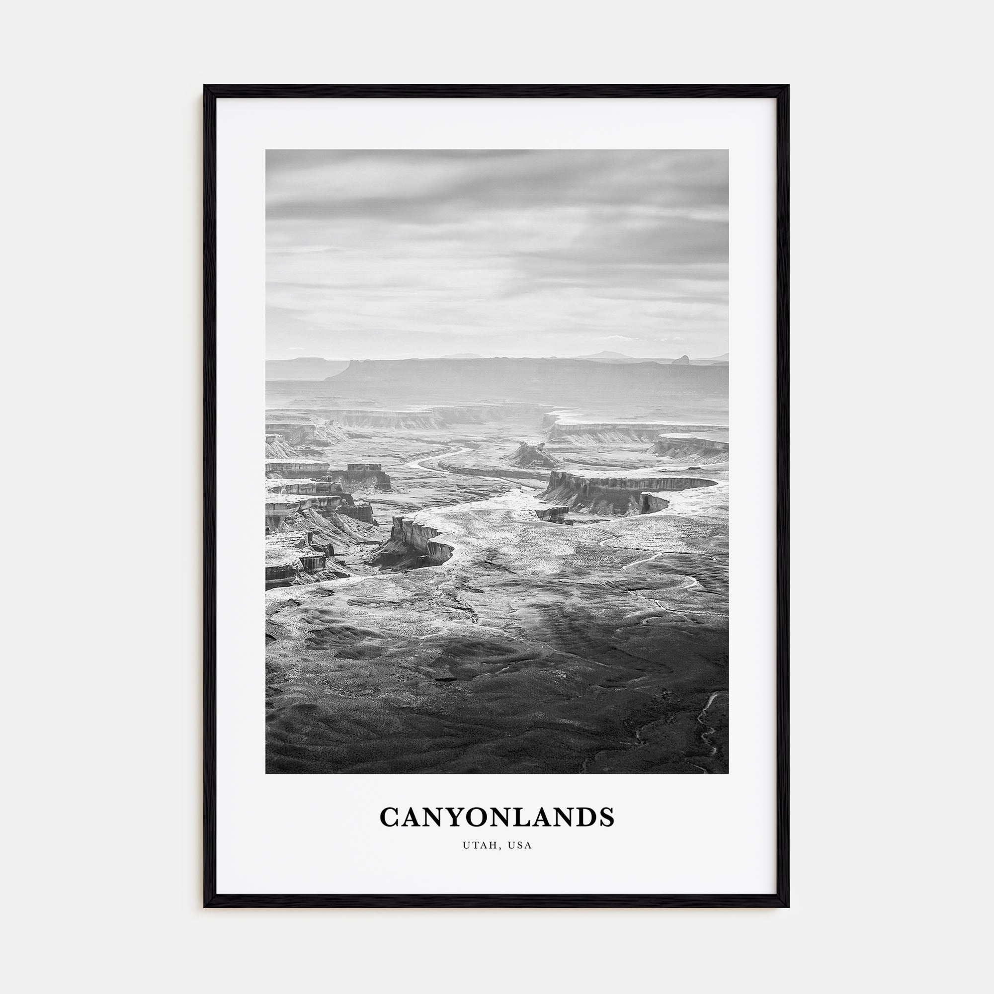 Canyonlands National Park Portrait B&W Poster