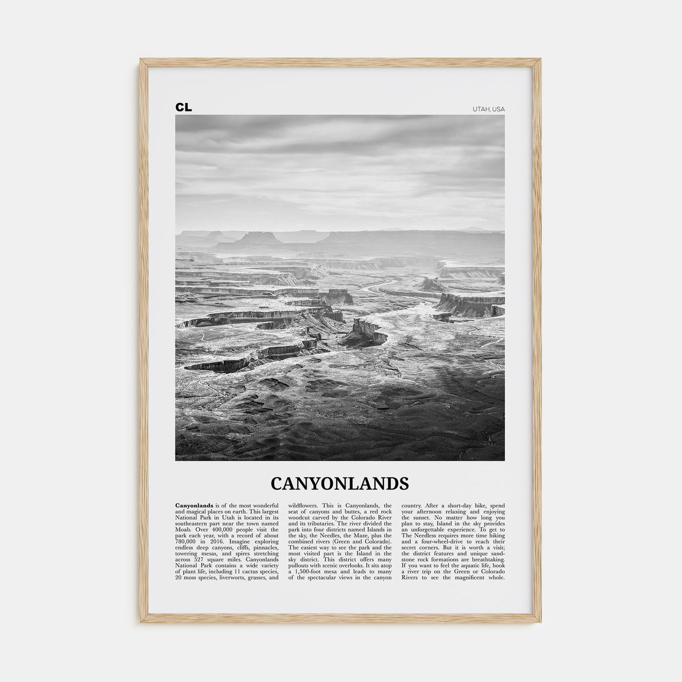 Canyonlands National Park Travel B&W Poster