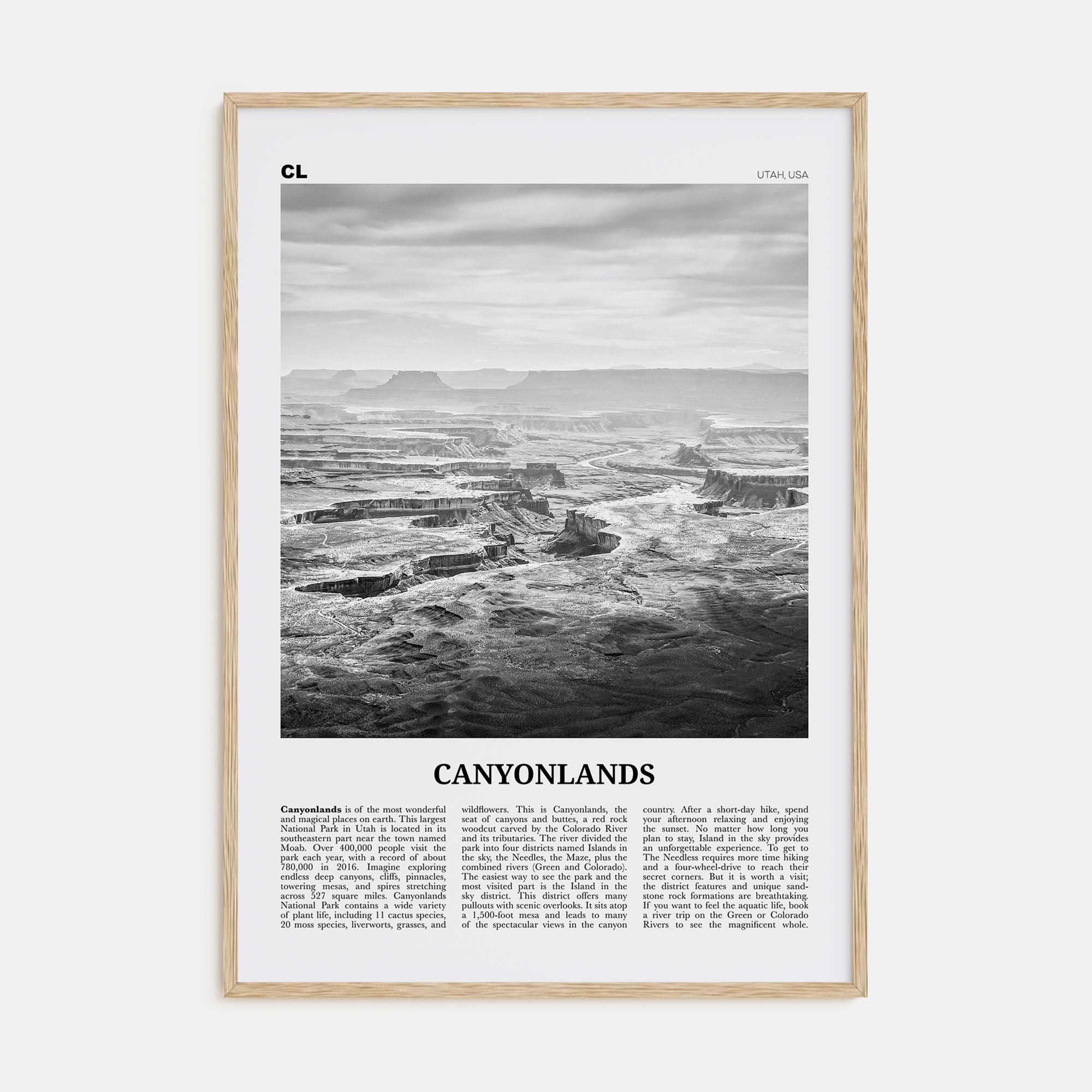 Canyonlands National Park Travel B&W Poster