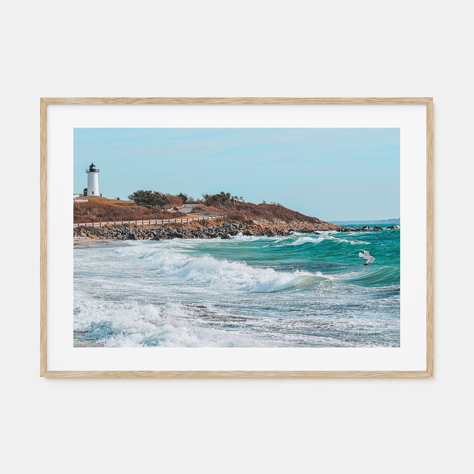 Cape Cod Landscape Color Poster