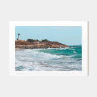 Cape Cod Landscape Color Poster