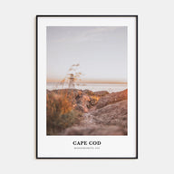 Cape Cod Portrait Color No 1 Poster
