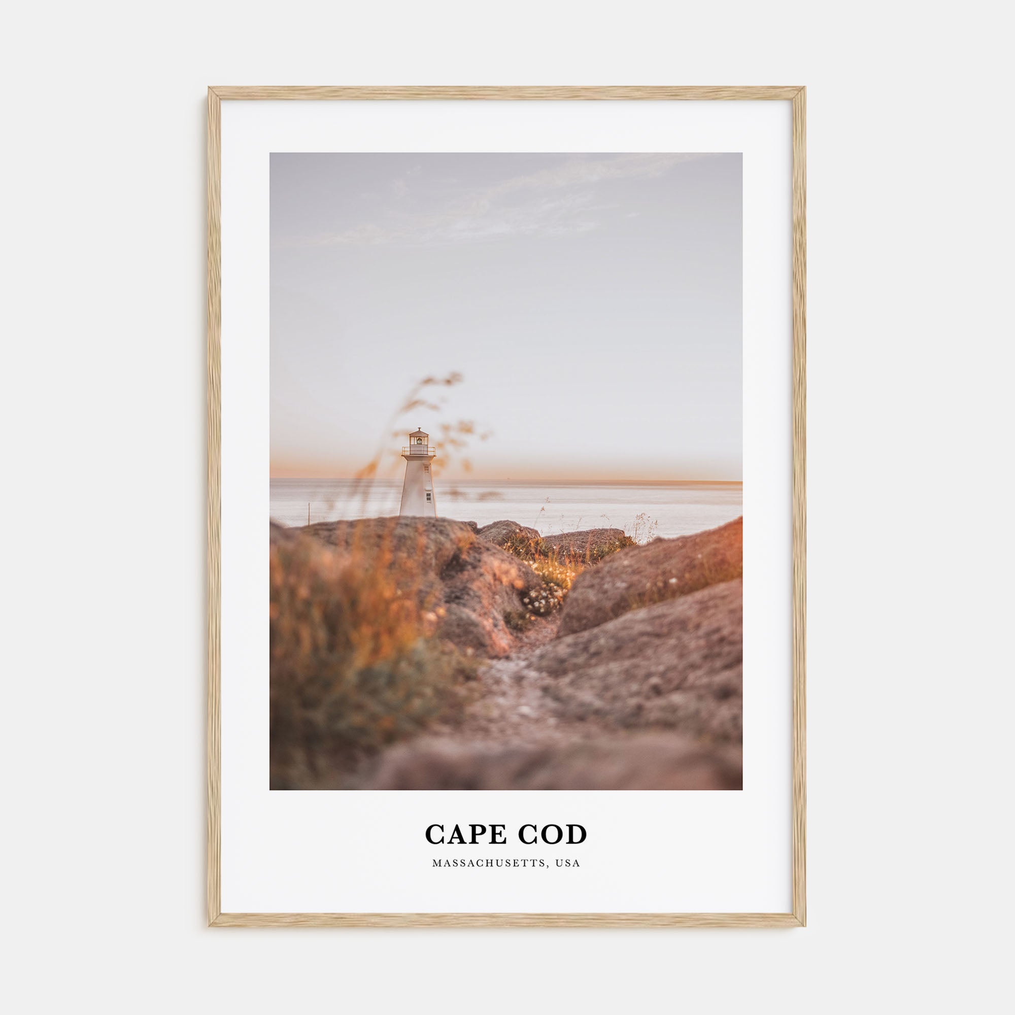 Cape Cod Portrait Color No 1 Poster
