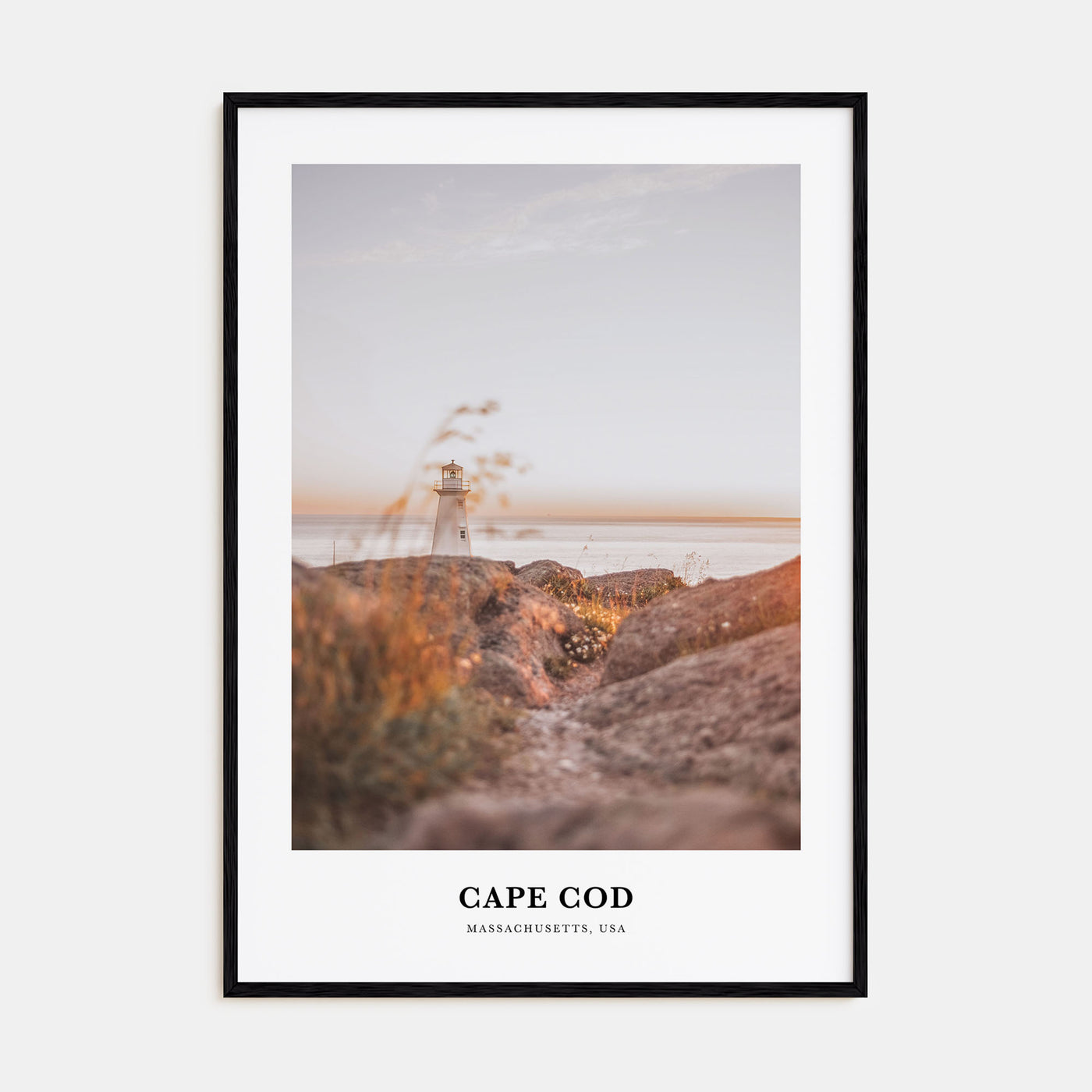 Cape Cod Portrait Color No 1 Poster