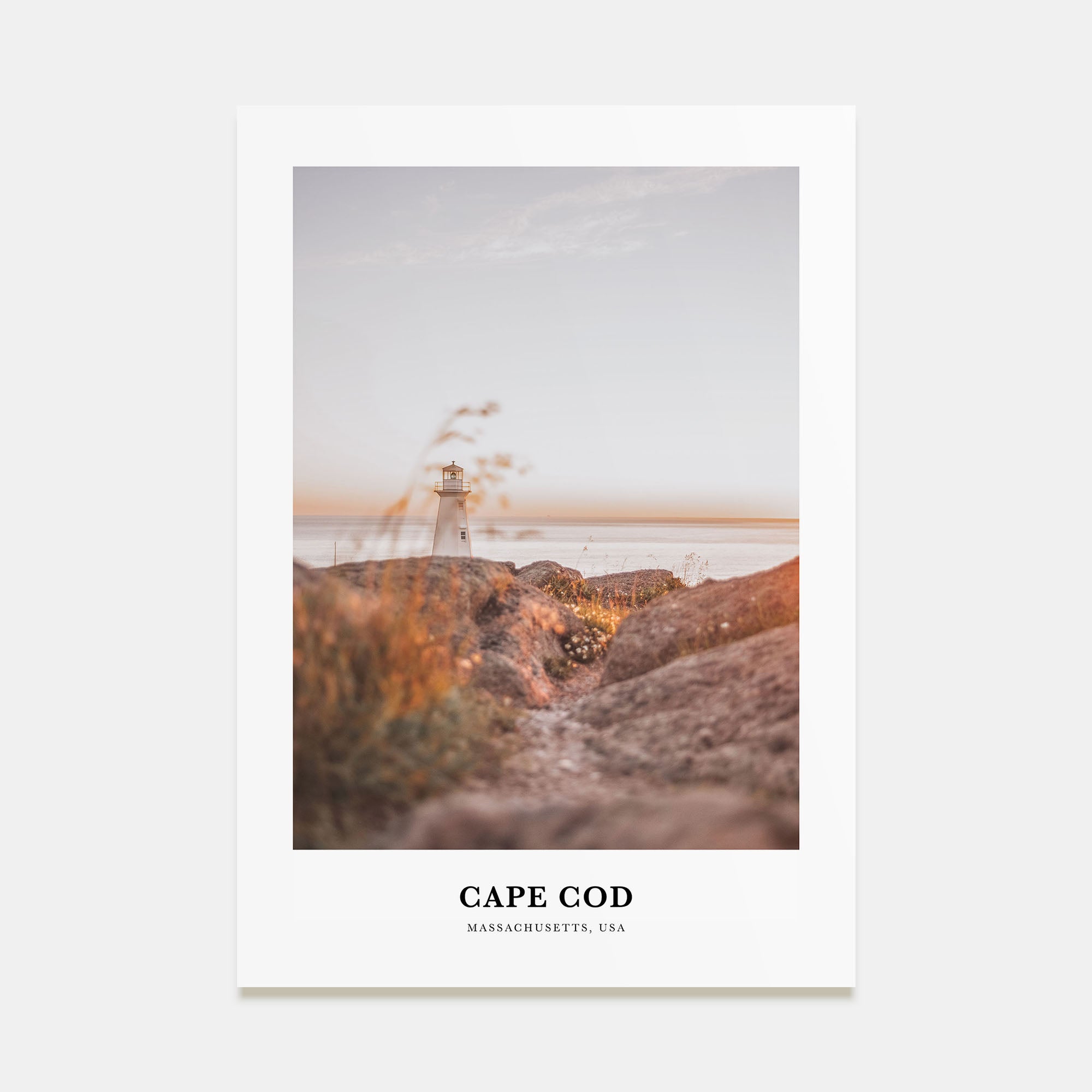 Cape Cod Portrait Color No 1 Poster
