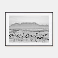 Cape Town Landscape B&W Poster