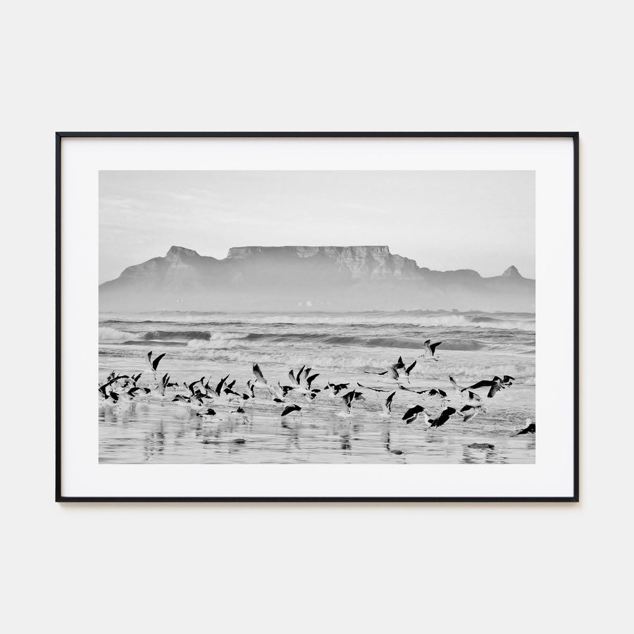 Cape Town Landscape B&W Poster