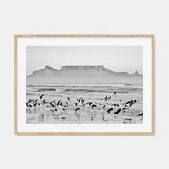 Cape Town Landscape B&W Poster