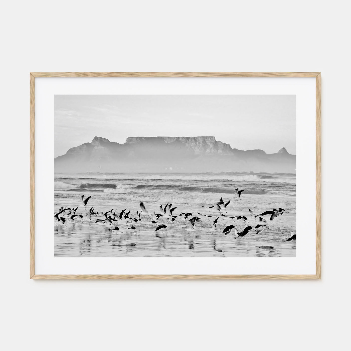 Cape Town Landscape B&W Poster