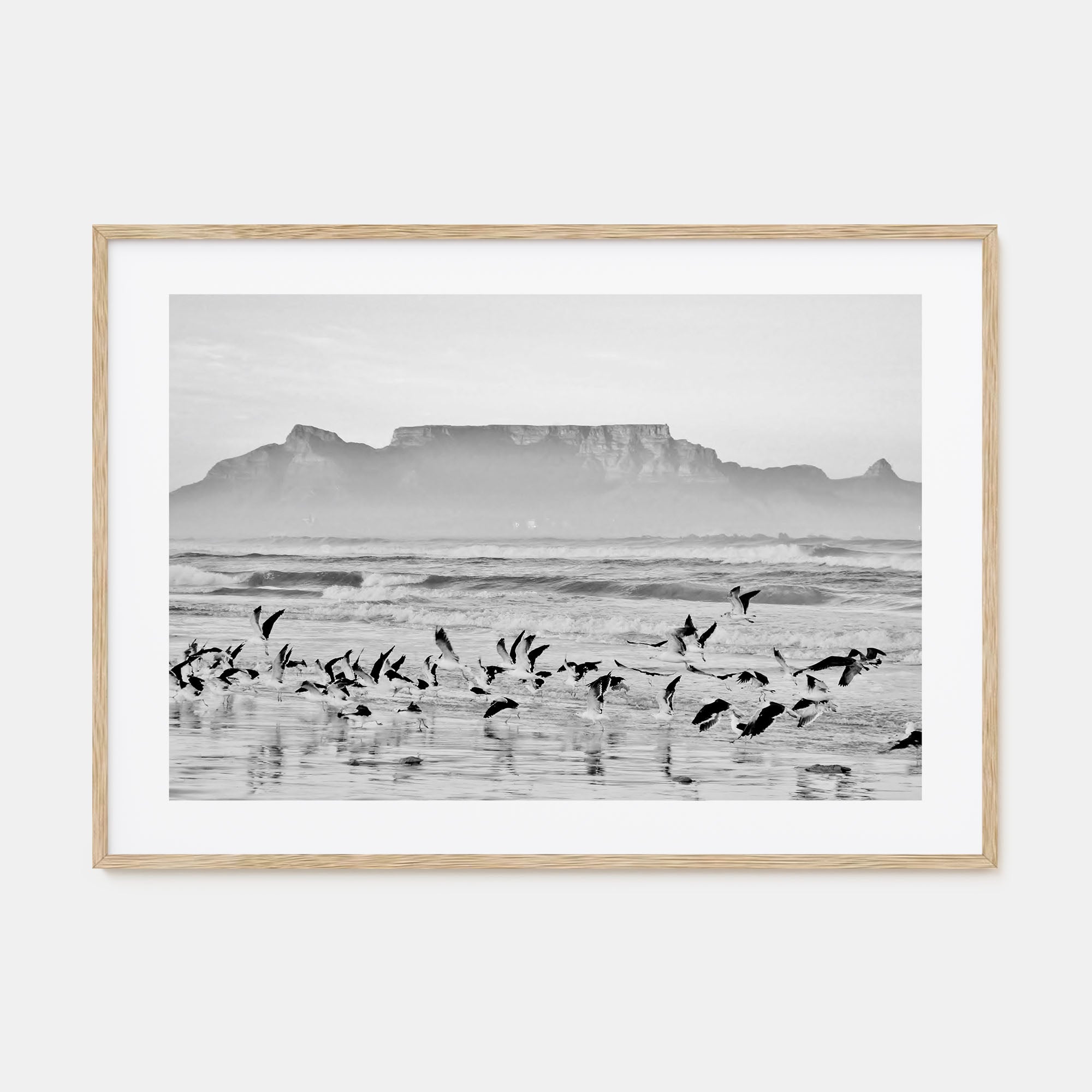 Cape Town Landscape B&W Poster