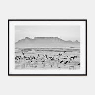 Cape Town Landscape B&W Poster