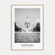 Capitol Hill Portrait B&W Poster