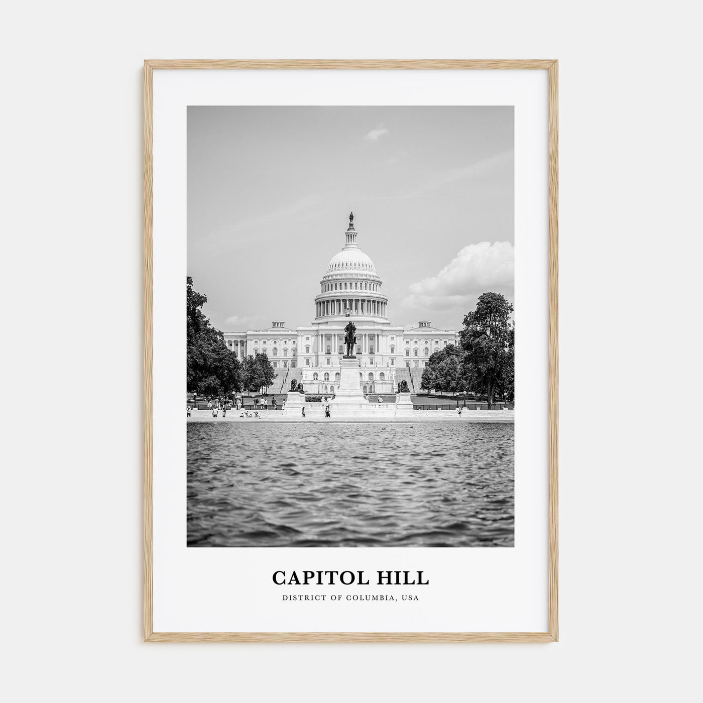 Capitol Hill Portrait B&W Poster