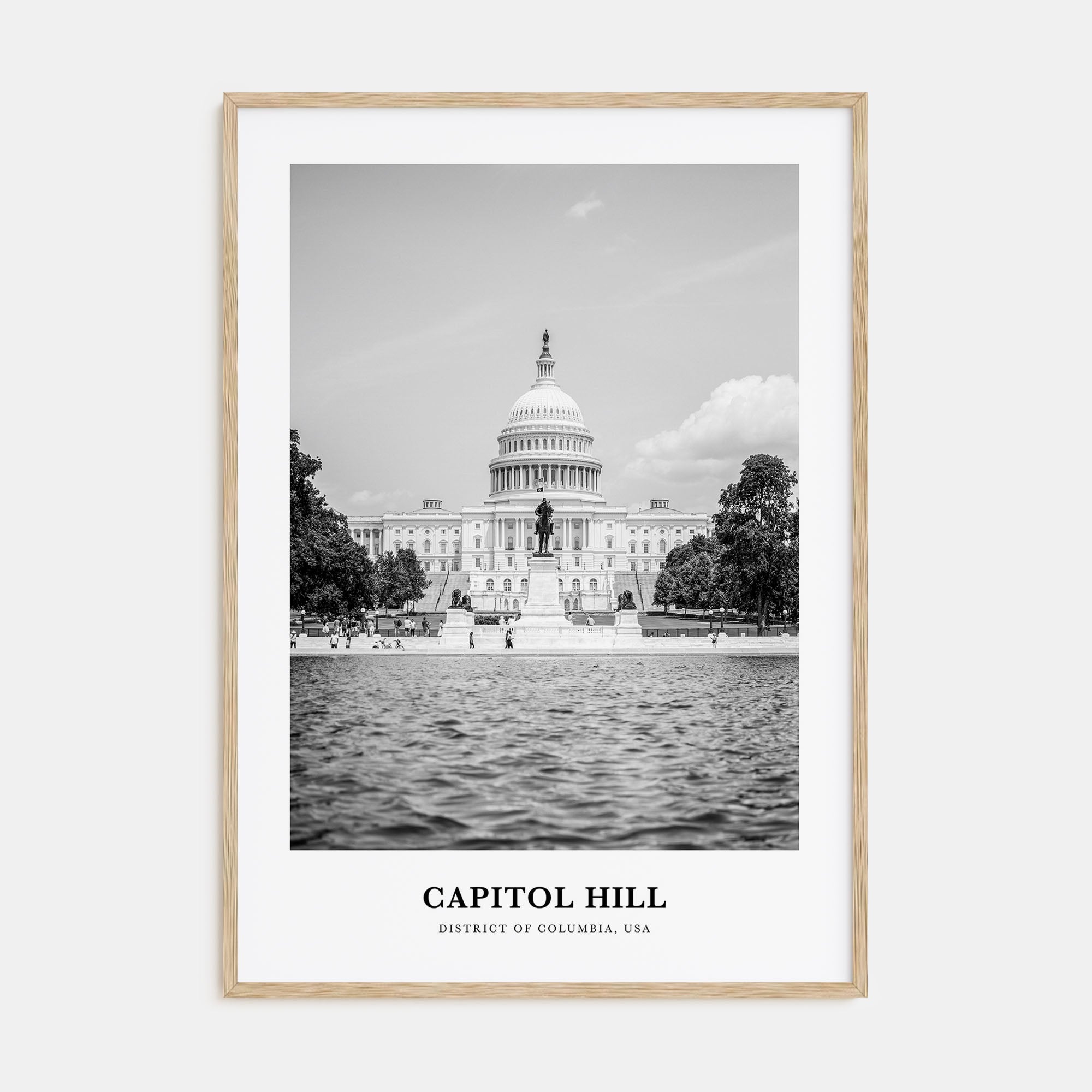 Capitol Hill Portrait B&W Poster