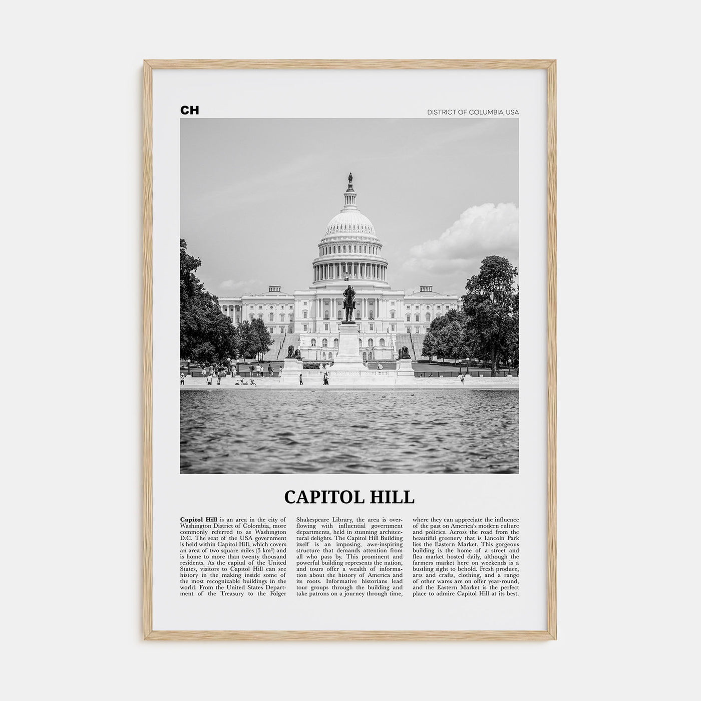 Capitol Hill Travel B&W Poster