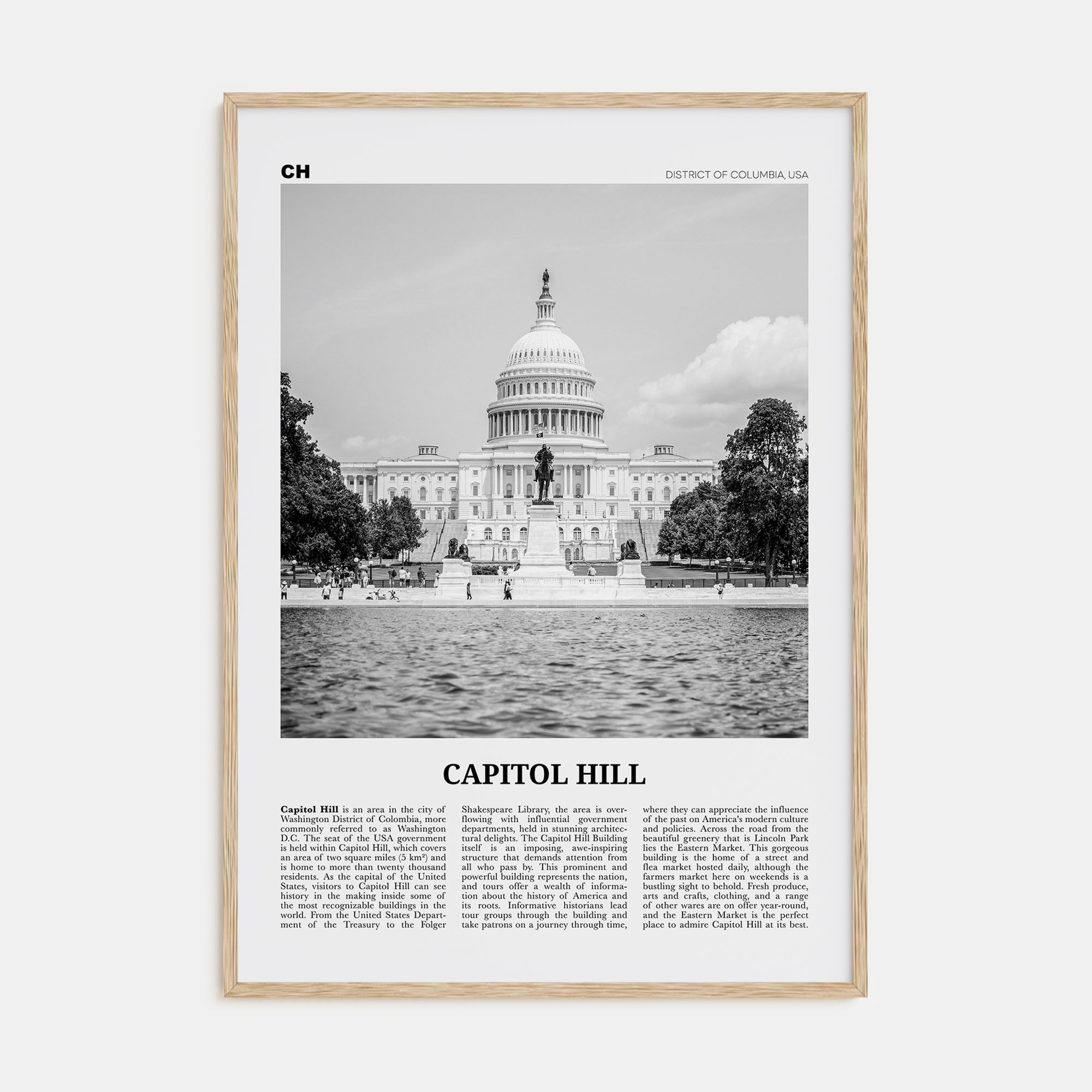 Capitol Hill Travel B&W Poster
