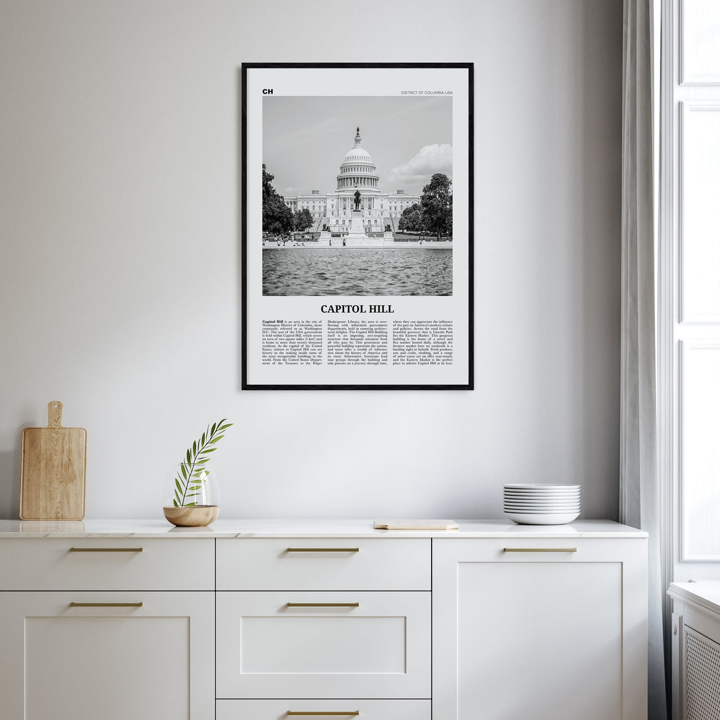 Capitol Hill Travel B&W Poster