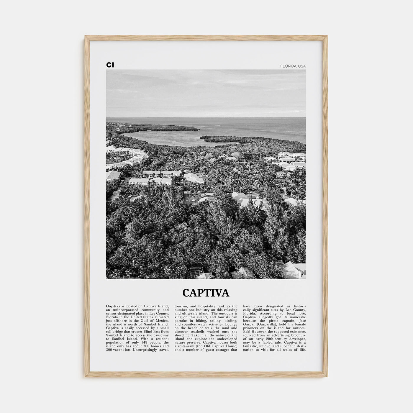 Captiva Travel B&W No 2 Poster