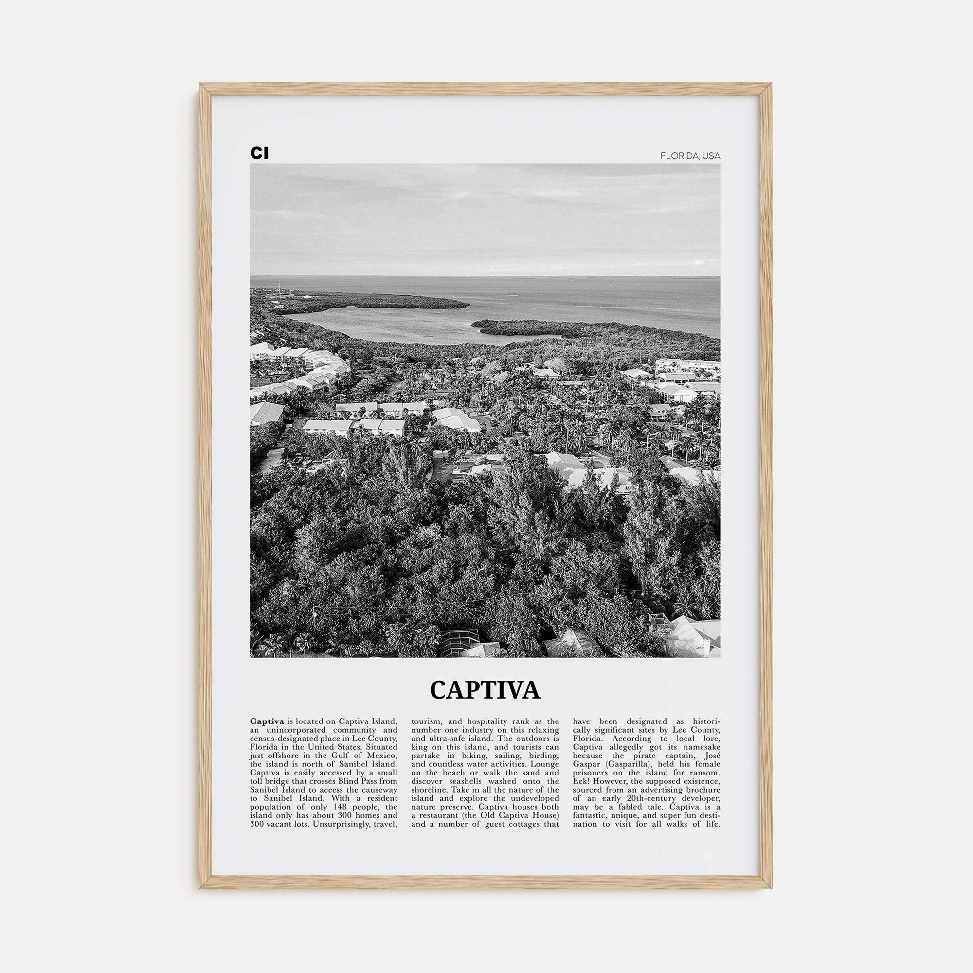 Captiva Travel B&W No 2 Poster