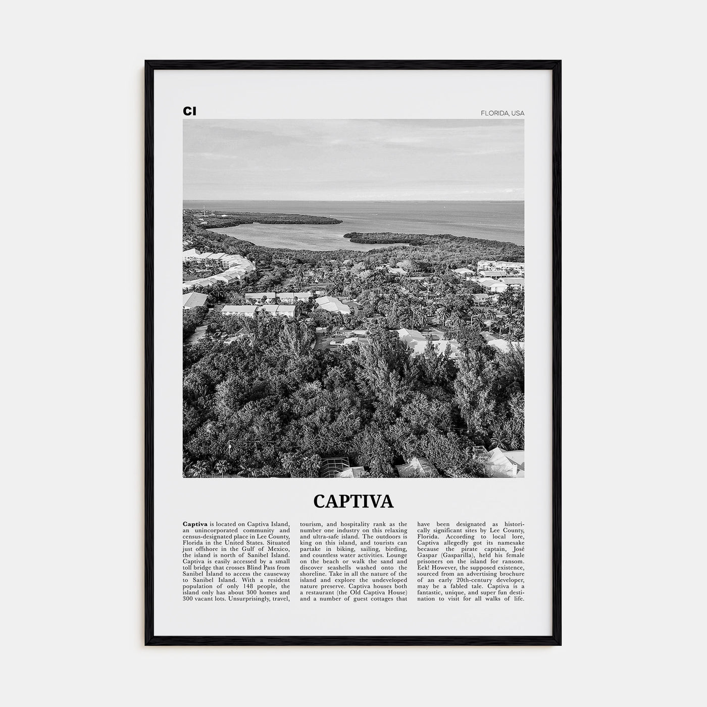 Captiva Travel B&W No 2 Poster
